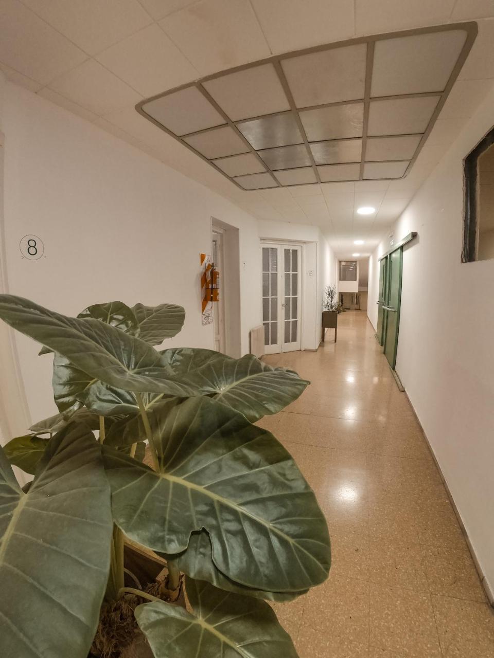 Greengo Hostelコルドバ エクステリア 写真